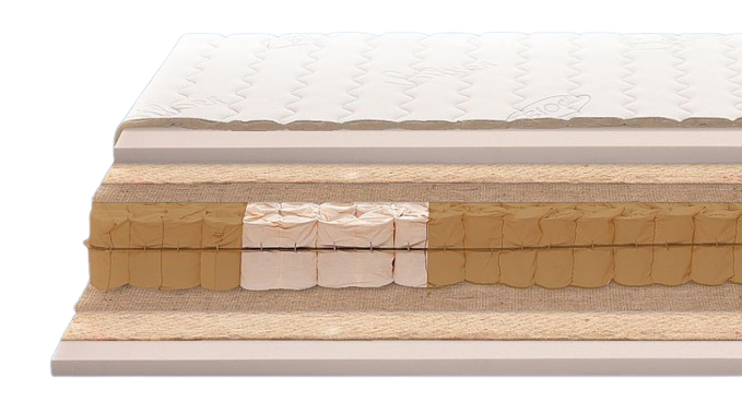 1purtfk-removebg-preview